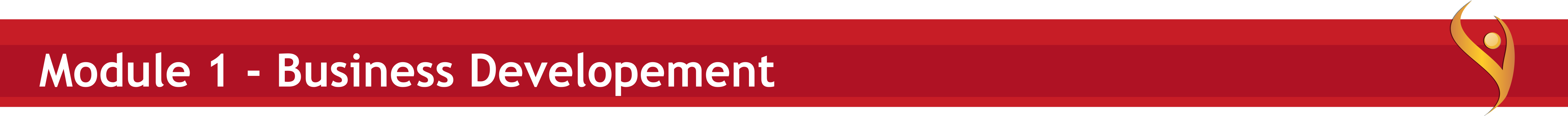 Embroidery Business Developement